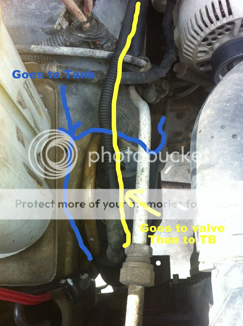 Vapor canister Bronco Forum Full Size Ford Bronco Forum